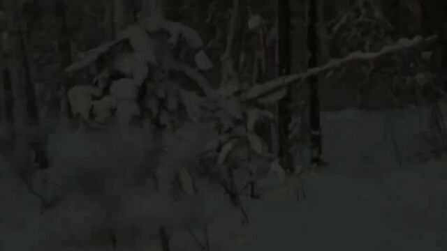 Порно пьяную силой толстым членом