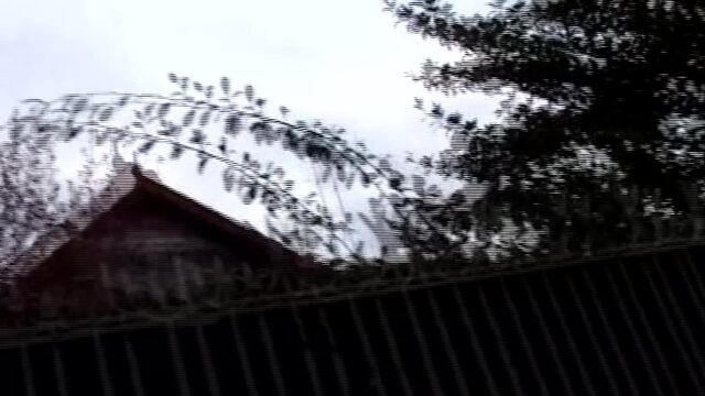 Порно семейная пара трахают девушек жесть
